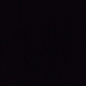 Meet your Posher, Mireya